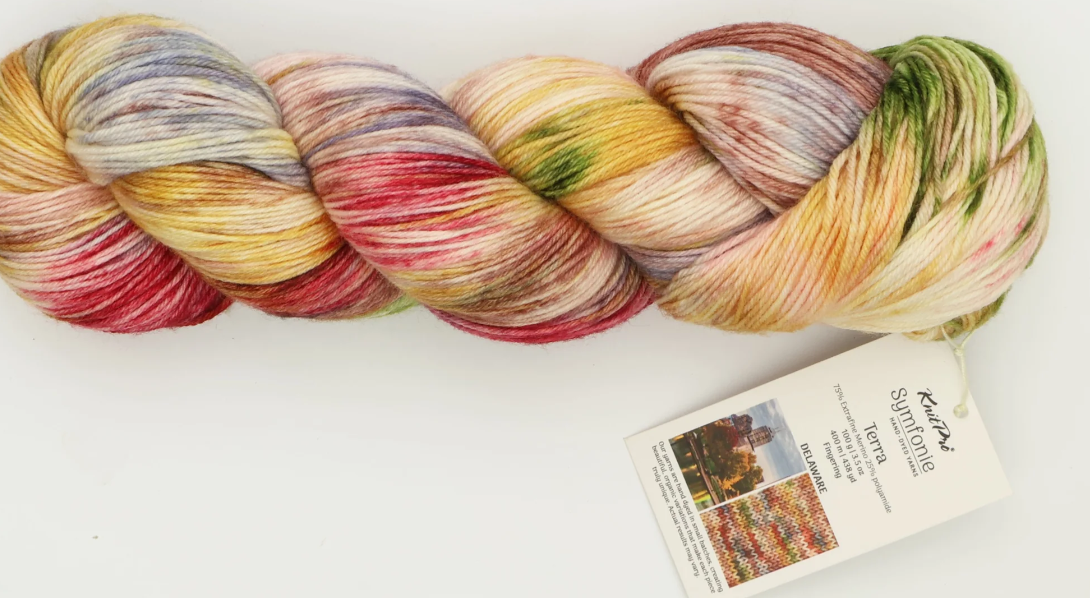 Delaware Symfonie Hand Dyed Sock Yarn 438 yards