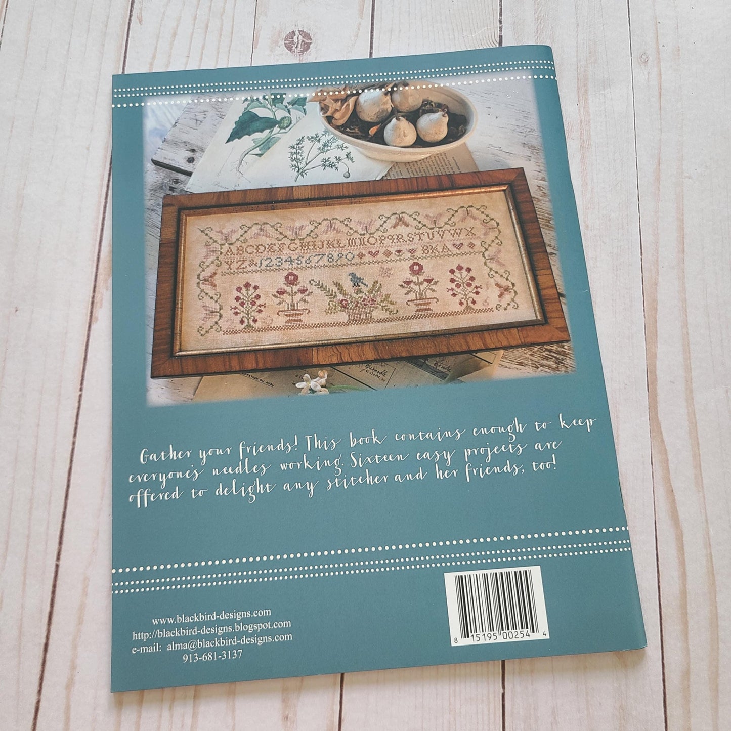 Sewing Club By Blackbird Designs Cross Stitch Pattern book 16 patterns