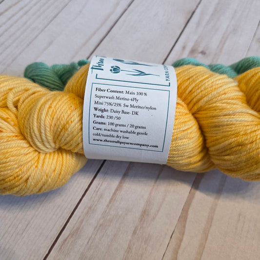 Two Loops DK Sock Set speckled orange and mint sock set by Three Tulips Yarn