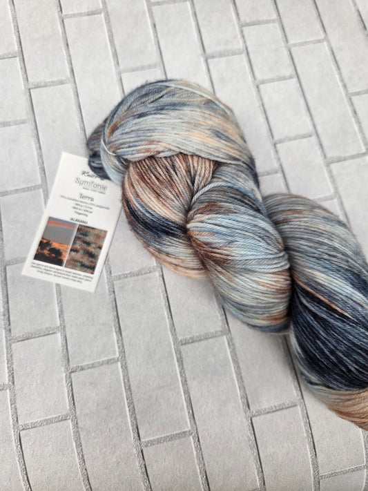 Alabama Symfonie Hand Dyed Sock Yarn 438 yards