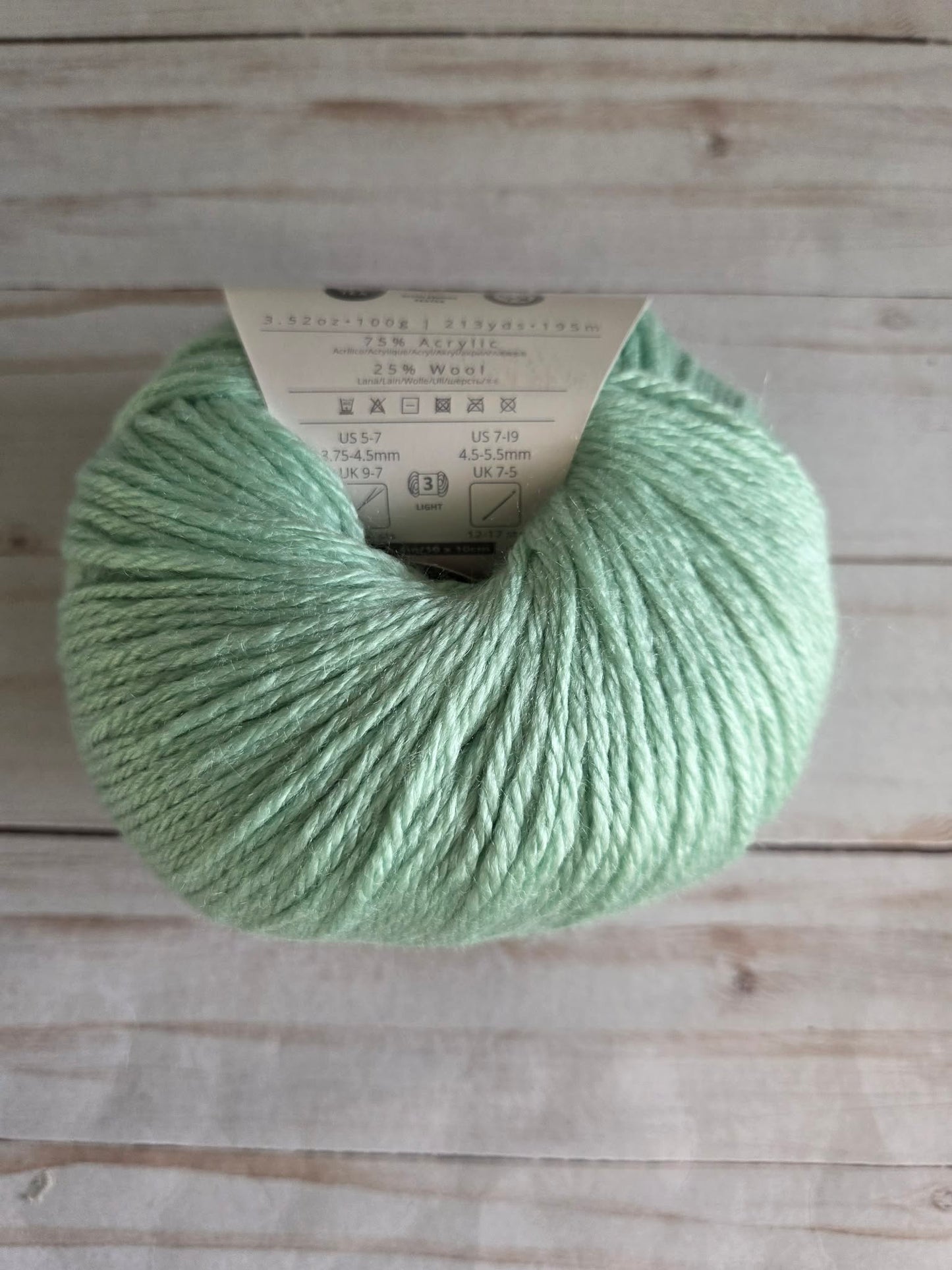 Ella Rae Cozy Soft Yarn Light Green #32