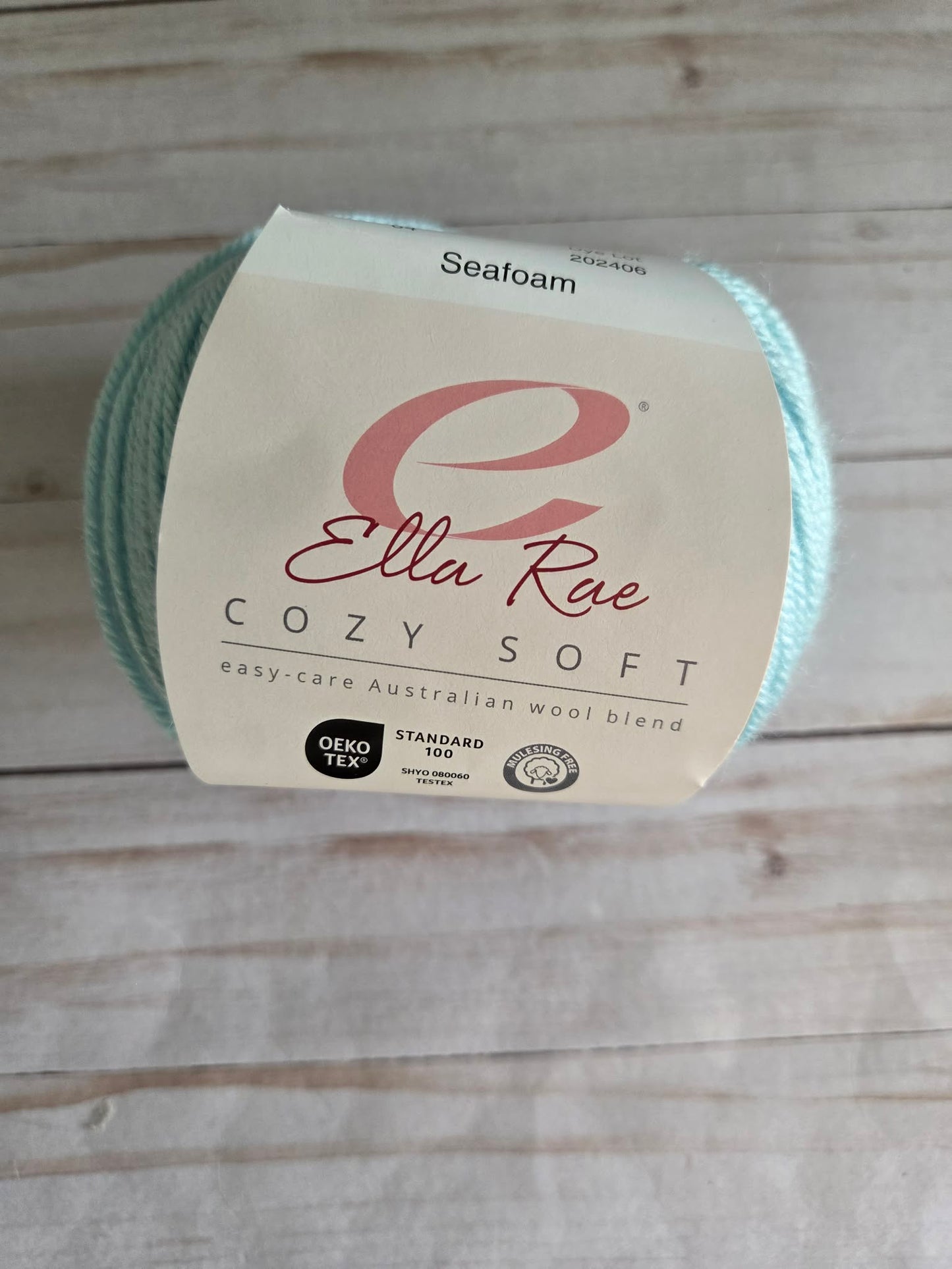 Ella Rae Cozy Soft Yarn Seafoam #64