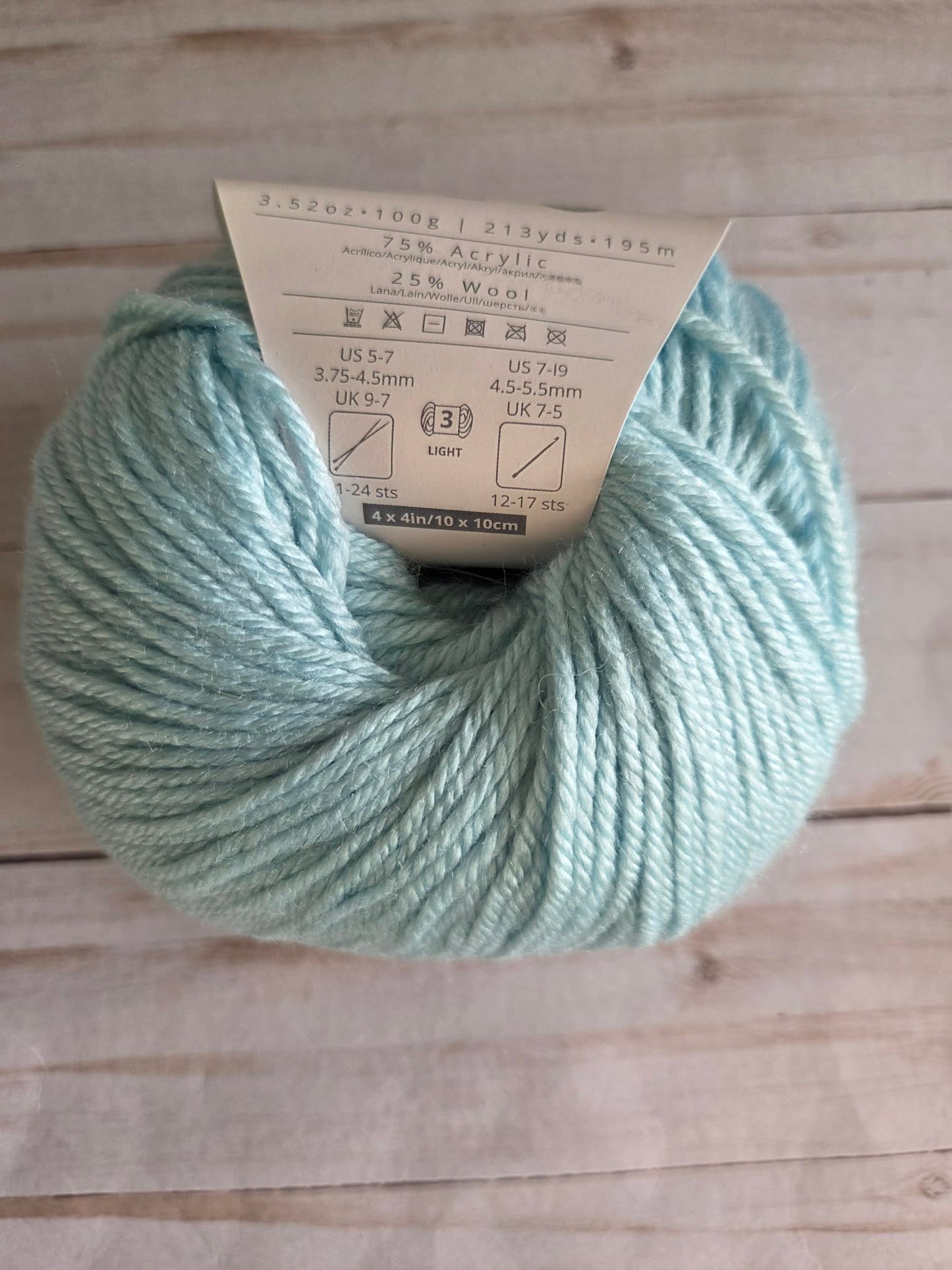 Ella Rae Cozy Soft Yarn Seafoam #64