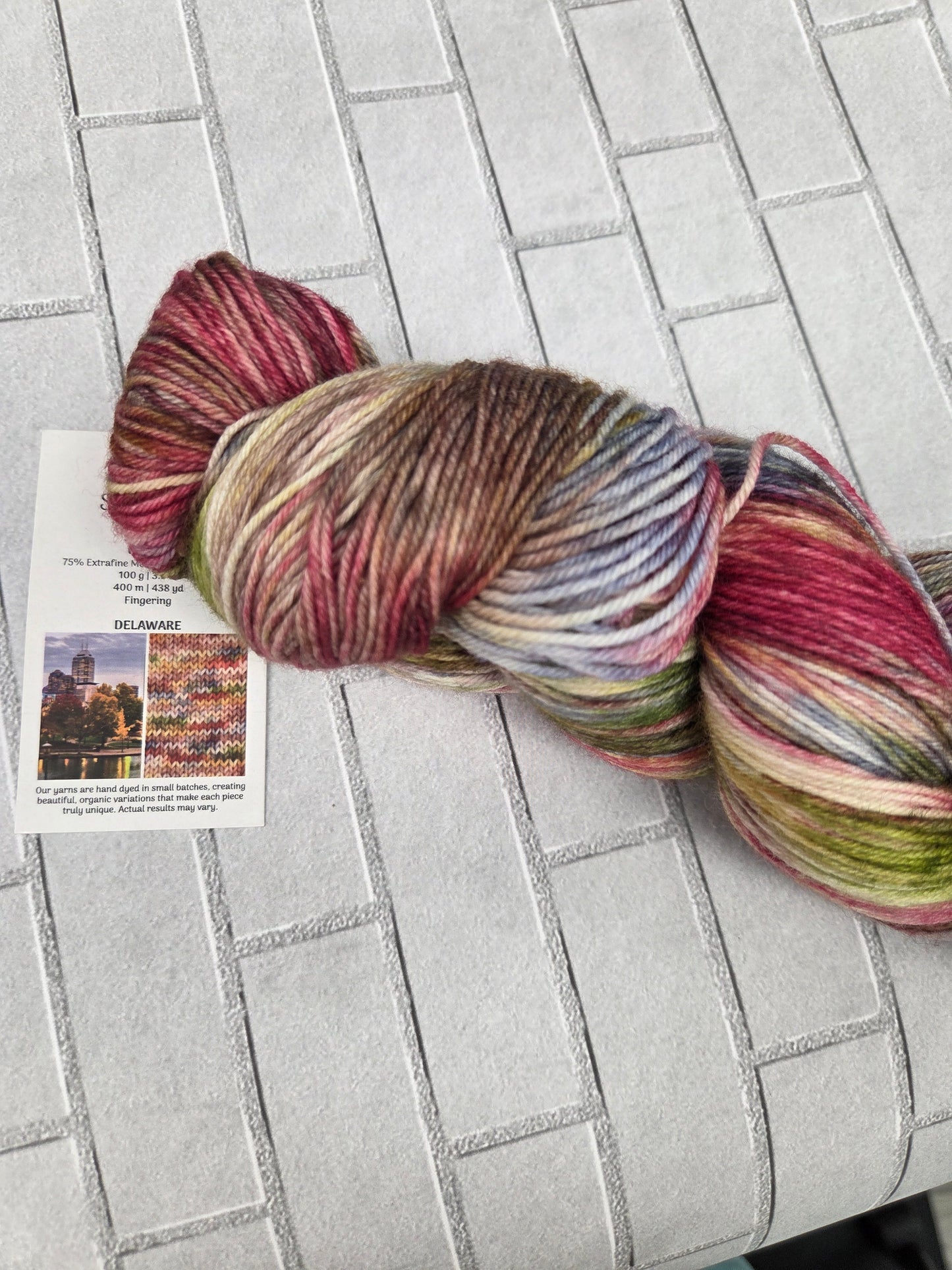 Delaware Symfonie Hand Dyed Sock Yarn 438 yards