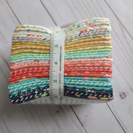 Delightfully Yours Fat Eighth 9x22 by Sherri & Chelsi- Moda