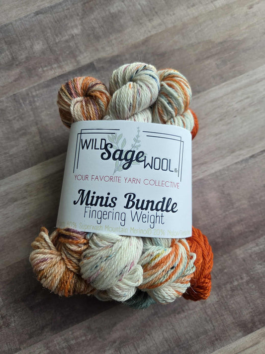 Harvest & Bonfires– Minis Fingering weight Yarn by Wild Sage Wool