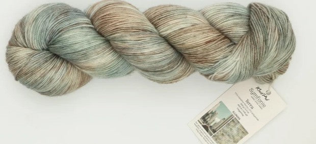Illinois Symfonie Hand Dyed Sock Yarn 438 yards