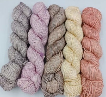 Caprino Set 1 Yarn Malabrigo