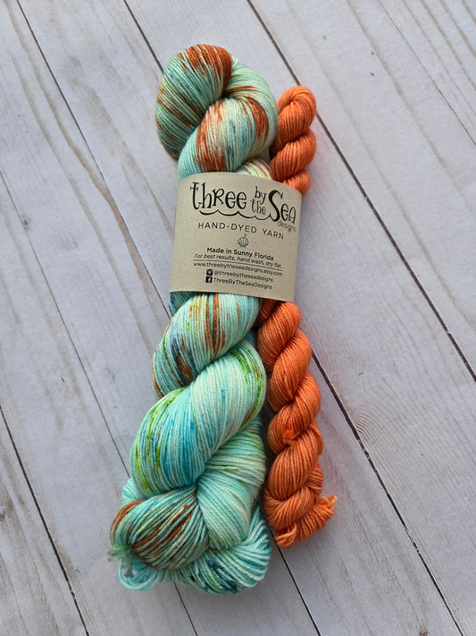 She Sells Seashells Sock Set by Three By the Sea Designs