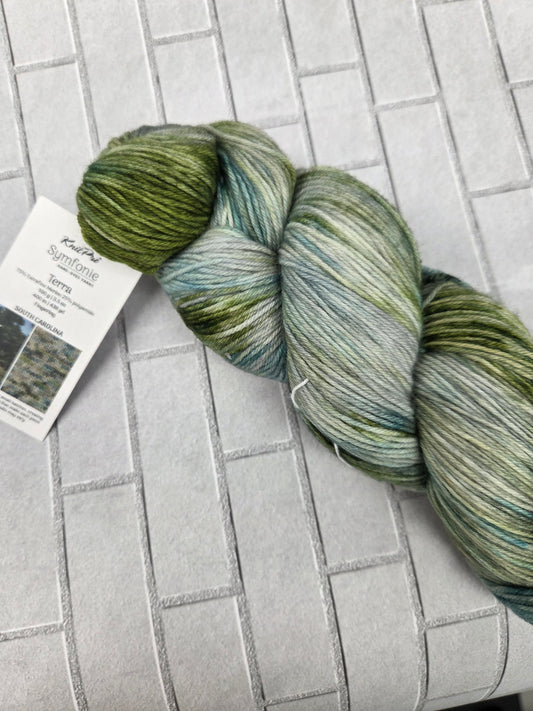 South Carolina Symfonie Hand Dyed Sock Yarn 438 yards